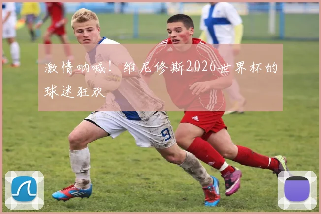 激情呐喊！维尼修斯2026世界杯的球迷狂欢