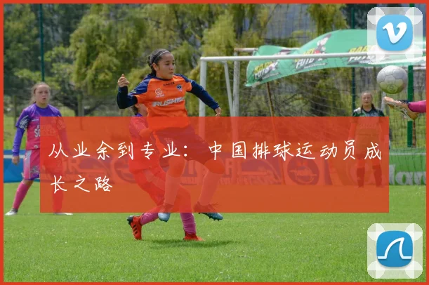 从业余到专业：中国排球运动员成长之路