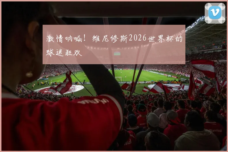 激情呐喊！维尼修斯2026世界杯的球迷狂欢