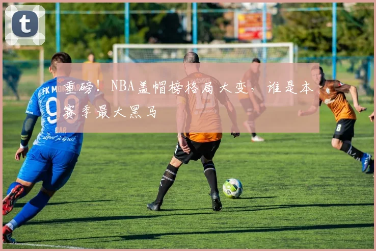 重磅!NBA盖帽榜格局大变,谁是本赛季最大黑马