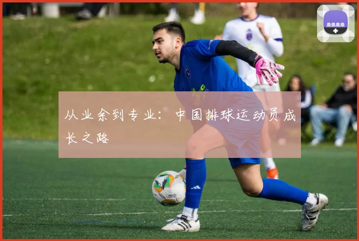 从业余到专业：中国排球运动员成长之路